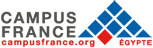 Campus France logo