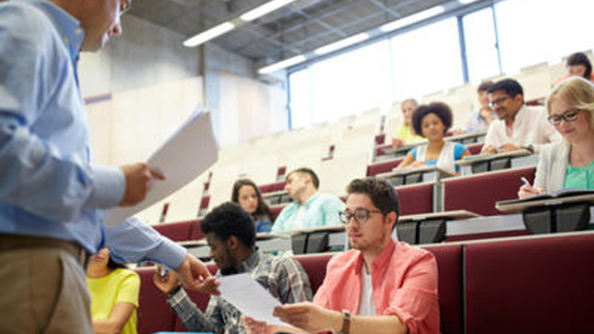 Enseignement supérieur