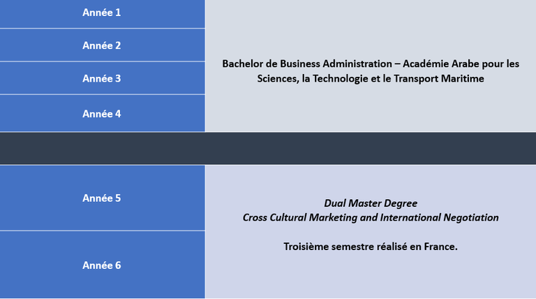 AASTMT (Formation) AASTMT (Formation)