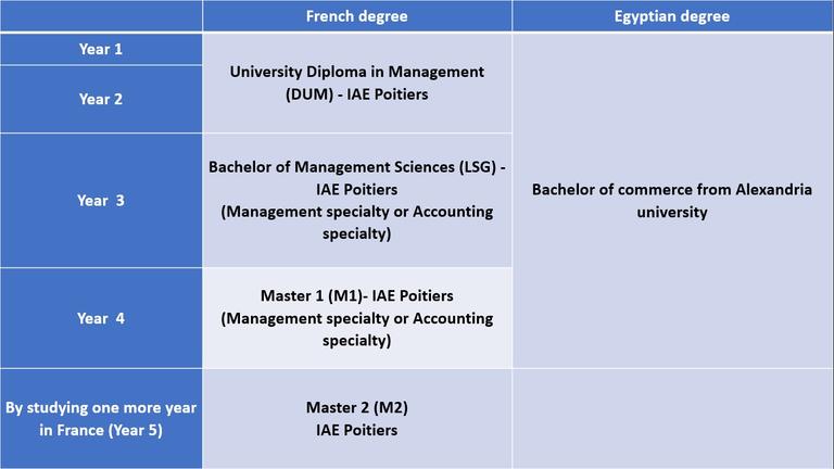 DFGA-eng DFGA-eng