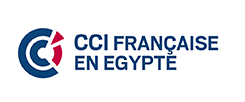 Logo CCIFE