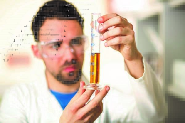 Préparer son doctorat Préparer son doctorat